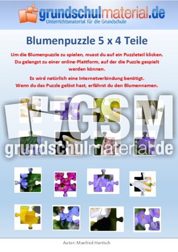 Blumenpuzzle 5x4.pdf